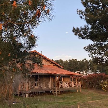 Le Gite De L'Aerogrange Biscarrosse Bagian luar foto