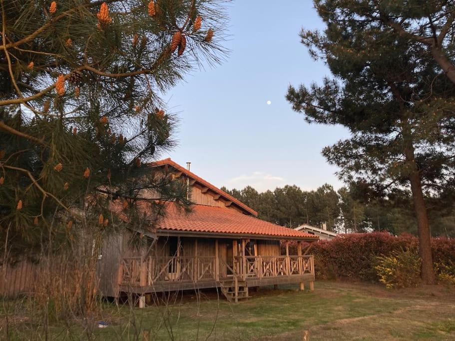 Le Gite De L'Aerogrange Biscarrosse Bagian luar foto